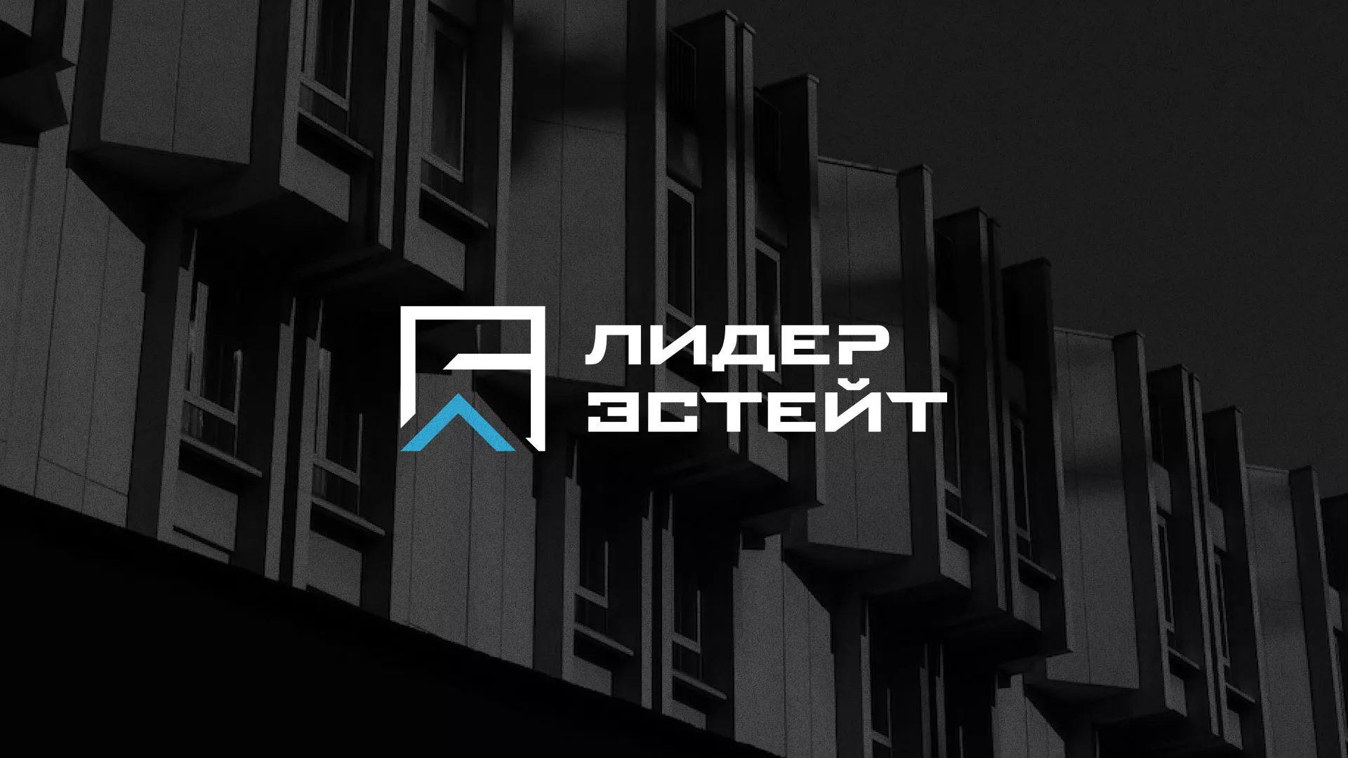 Разработка логотипа агентства недвижимости «Лидер Эстейт» в Льгове